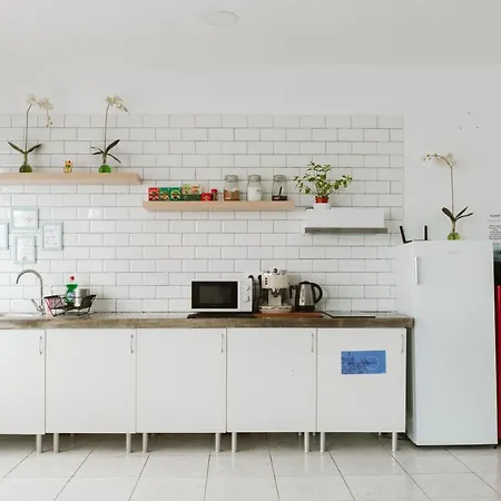 بيت شباب Kyo Surf *