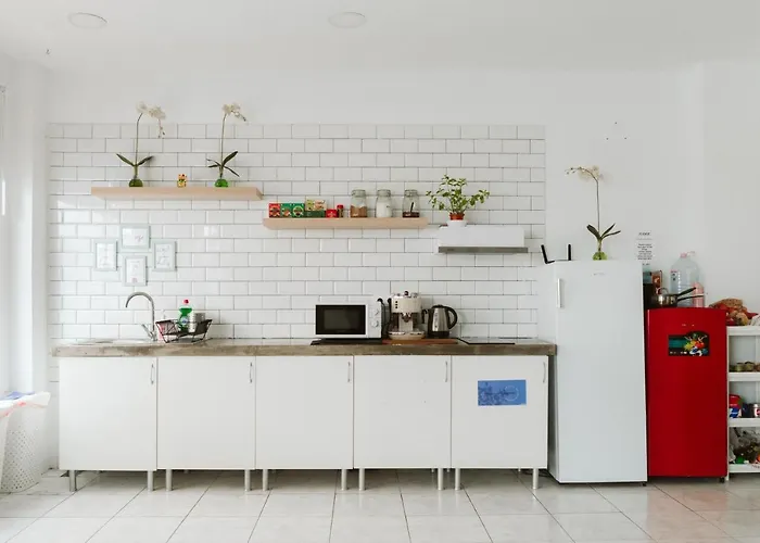 بيت شباب Kyo Surf *